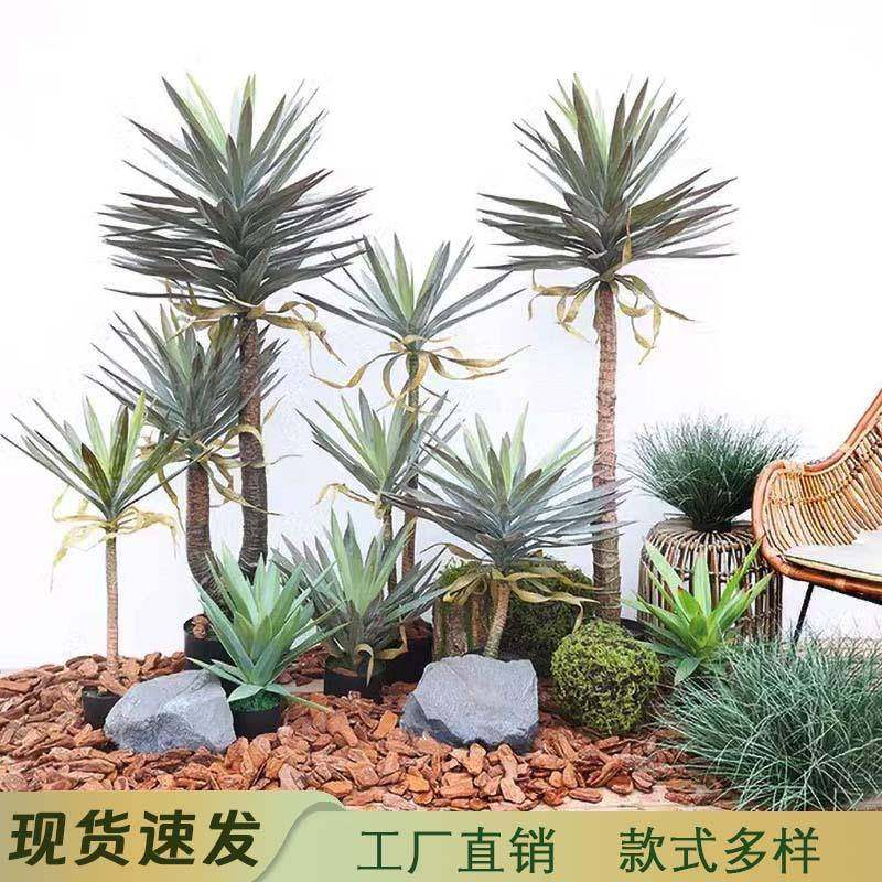 仿真龙舌兰凤尾龙舌兰绿植龙血树盆栽剑麻盆景家居装饰植物,居家日用,美容小工具,淘宝优惠券,粉丝福利购,淘宝优惠卷
