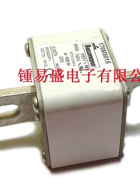 170M4066 170M4067 u170M4068 170M4069低压快速熔断器保险丝