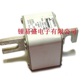 170M4066 170M4067 u170M4068 170M4069低压快速熔断器保险丝