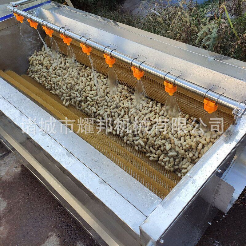 1200型毛刷毛辊清洗机 花生清洗机 花生清洗去泥机