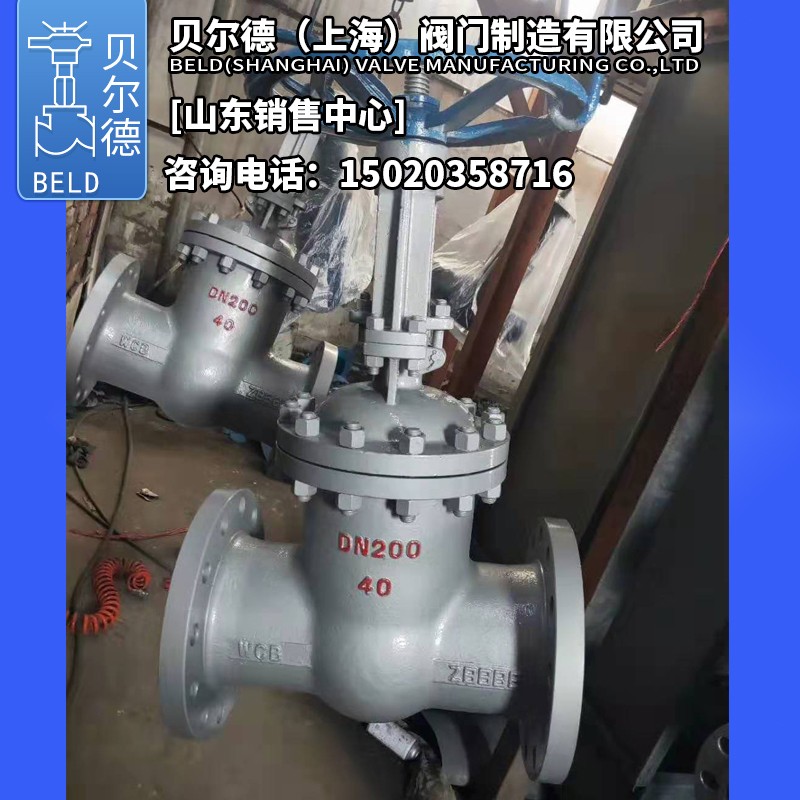 Z1Y/H-C/100C/10C/0C高温高压铸钢闸/法兰/闸板/门