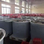 加厚塑料牛筋圆桶水箱大号化工大圆桶酿酒发酵腌制带盖水桶