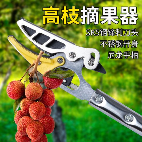 槐剪枝剪修枝剪修剪园林剪枝槐加长杆空剪