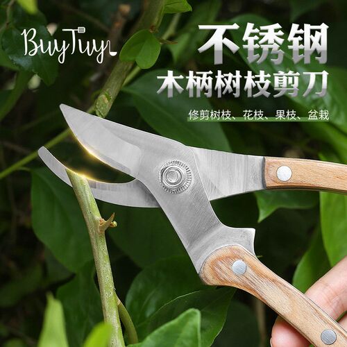 多用园林修枝剪省力家用剪刀修粗树枝果树叶子园艺工具修枝剪
