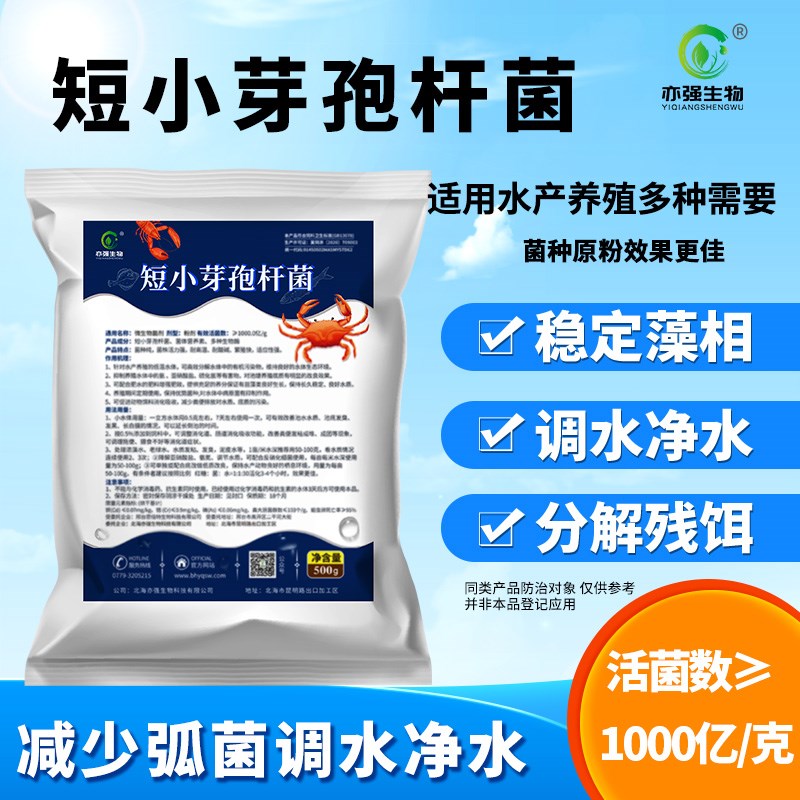 短小芽孢杆菌水产养殖冬天环y境低温污水处理水体底质微生物菌种
