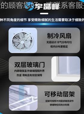实室防冰箱爆高校大学验室化学品存放柜实立式防爆单验门玻璃DIX