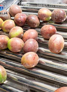 TTY分选机 选果果圆机 大小水水分级机 橙子苹果柠檬形果筛选