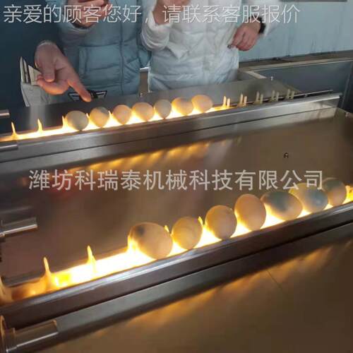鸡蛋大型洗清洗设备 商用尼鸡蛋鸭蛋鹅蛋清洗刷机LRQ 龙毛蛋机