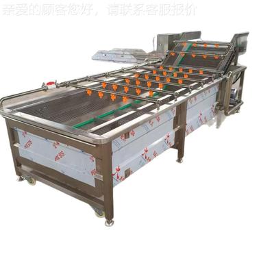 气泡清机全泡自动连式LFE气清洗机果蔬清洗机苹洗果荔续枝清洗机