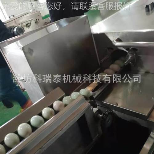 水箱浸泡式蛋机 动化鸡水洗自VHE蛋洗机器 循环水蛋品清洗线价格