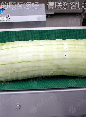 冬瓜食冬去皮设备 卧式高效YTB瓜品削皮机 全自动大型冬瓜机 削皮