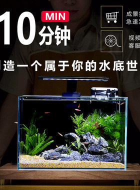 鱼缸客厅小型生态造景全套桌上小鱼缸餐桌电视柜旁一体免换水微观