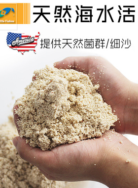 蓝色珍品海缸造景珊瑚沙子法红底沙两只小鱼活沙KZ天然海沙珊瑚沙