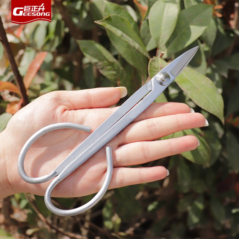 叶芽剪碳钢盆景兰花芽分苗剪子采摘葡萄专用蔬菜水果修小枝芽剪刀