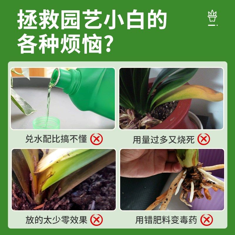 君子兰专用营养液促箭拔箭促开花专用肥料叶面肥免稀释液水溶体肥,鲜花速递/花卉仿真/绿植园艺,家庭园艺肥料,淘宝优惠券,粉丝福利购,淘宝优惠卷
