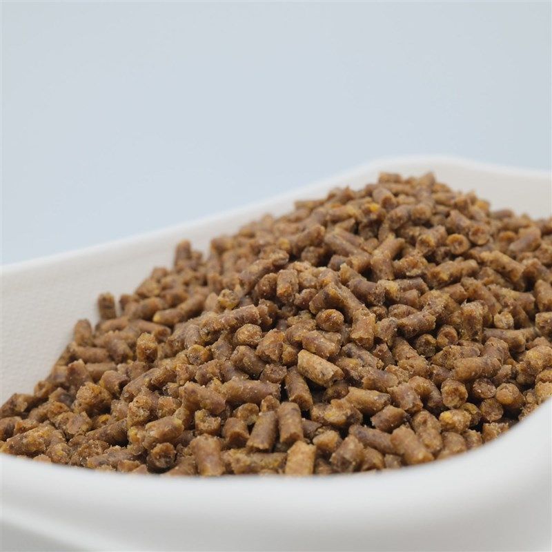 鹩哥鸟食饲料营养肥膘亮毛鸟粮喜鹊鸟料八哥食八哥饲料5斤桶装,宠物/宠物食品及用品,鸟食,淘宝优惠券,粉丝福利购,淘宝优惠卷