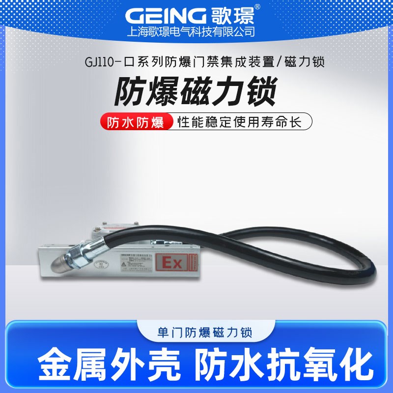 室外单双门防水磁力锁防爆电磁锁铁门磁吸锁反馈信号防爆门禁锁