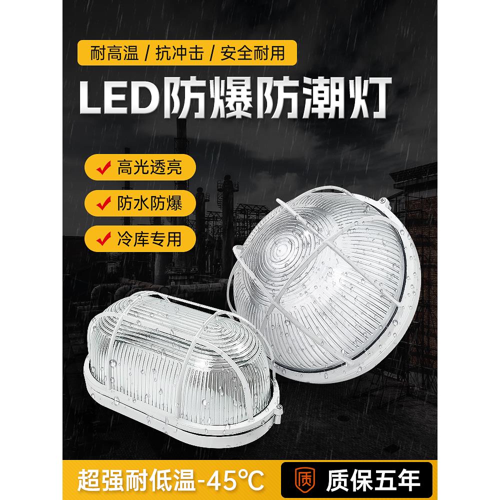 Led冷库专用灯三防灯防潮灯防爆20W浴室卫生间防水冰柜冰库灯