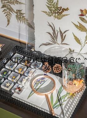 样板间手工艺实验室动植物主题昆虫花艺装饰画标本书房软装饰组合