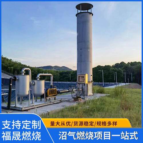 全封闭内燃式沼气火炬直销环保沼气燃烧设备