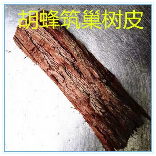 胡蜂筑巢材料树皮,黄脚红娘黑盾马蜂筑巢树皮,杉木树皮胡蜂养殖树