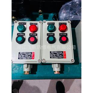 防爆操作柱 71系列防爆照片 配电箱 防爆操防腐作柱 动力 BXM