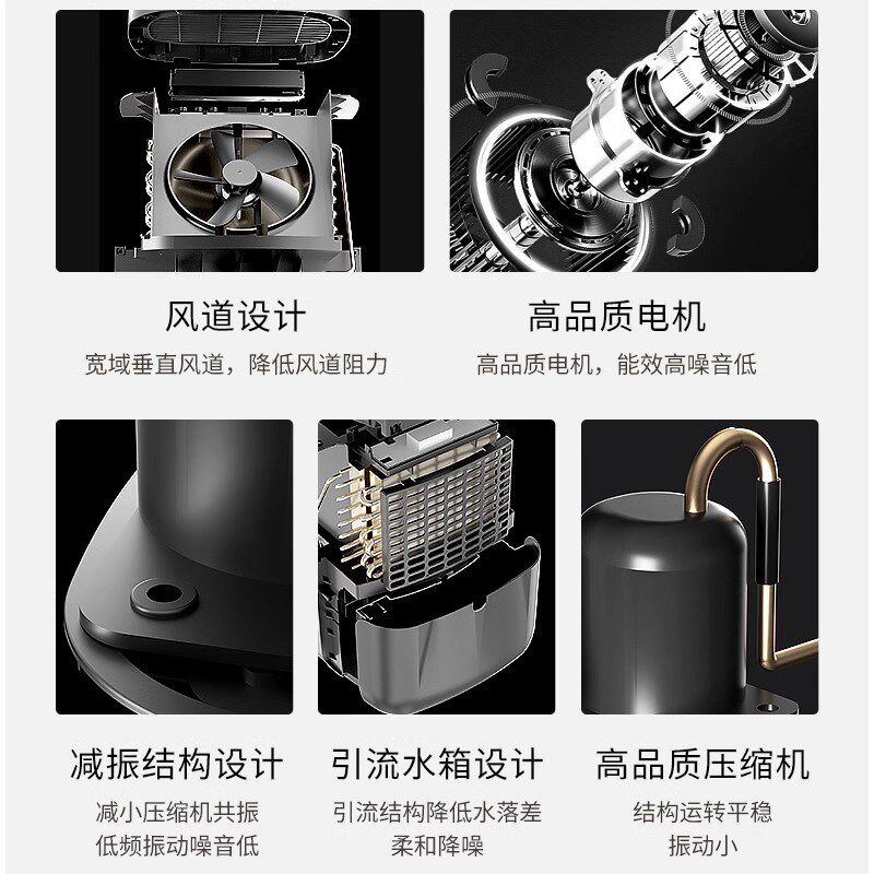 新飞除湿器小型出租房大面积吸湿除湿净化空气一体机除湿机地下室