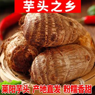 山东莱阳奶油芋头新鲜现发老品种农家种植软糯无农药无化肥芋艿