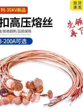 户外跌落式熔断器高压熔丝RW-35KV保险丝令克开关带扣熔丝3-200A