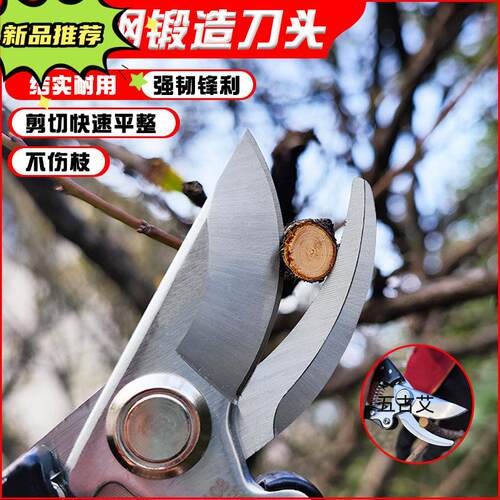 园艺剪刀果树修枝修剪树枝专用花艺枝F剪子剪枝园林工具花剪修枝