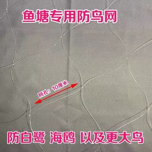 鱼塘防鸟网泥鳅塘天网养殖网牛蛙网大网眼尼龙综丝纱网防鸟用的网