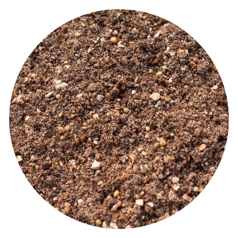 龟甲龙专用土多肉植物通用配方土仙人掌科配方土生石花肉锥配方土