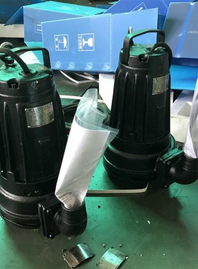 蓝深2撕裂式潜水泵污水提升器专用自耦式安装