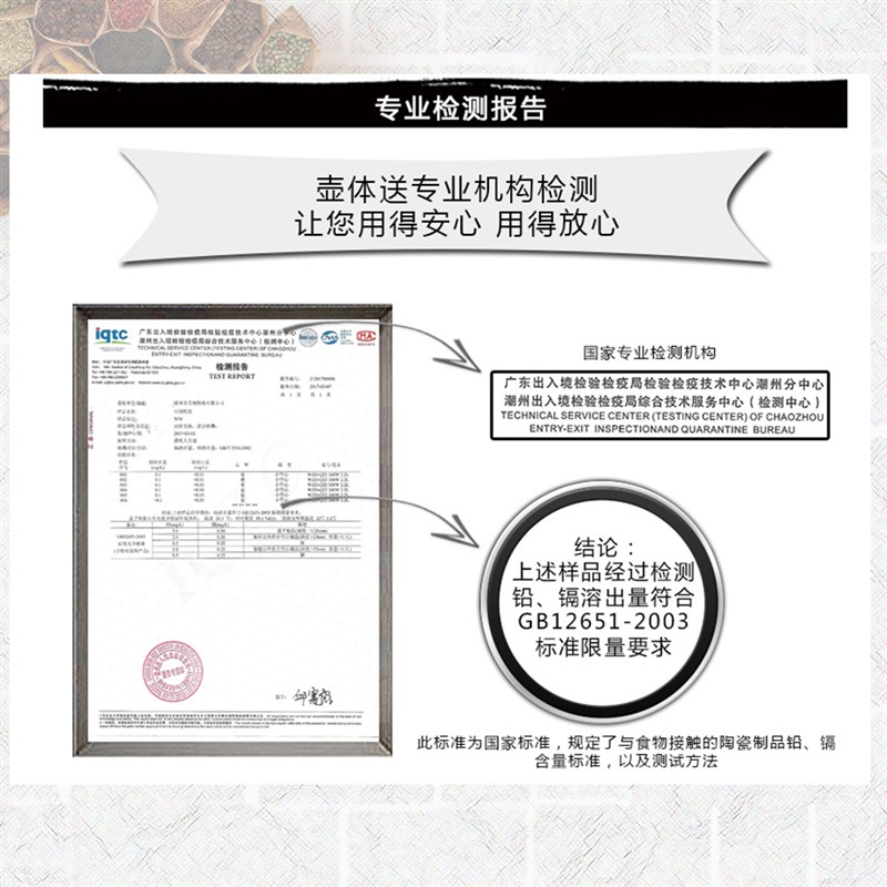 养生壶全自动大容量多功能熬药罐砂锅中医电炖草药煲中药壶煎药壶