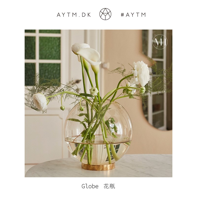 丹麦AYTM GLOBE轻奢球形玻璃花瓶花器水培植物花艺透明容器黄铜