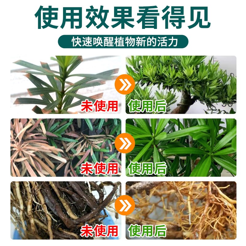 罗汉松营养液有机肥料免稀释室内盆栽植物通用型家用盆栽肥料