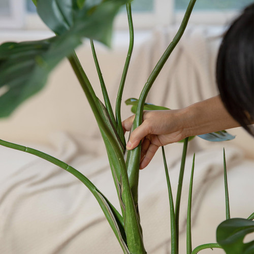 N家房龟背竹仿真绿植室内仿生假客厅装饰大型落地