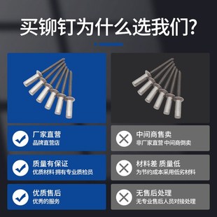 铝铁封闭型抽芯拉铆钉埋头 G H防水钉密封式沉头