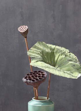 莲蓬干束客厅摆设瓶装饰品风干荷叶天然新