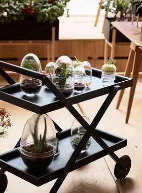 瑞典Din ou ool 玻璃微景观罩 苔藓生态瓶