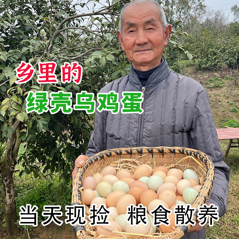 绿壳乌鸡蛋正宗农家散养新鲜土鸡蛋月子富硒蛋乌黑鸡农场直发现捡
