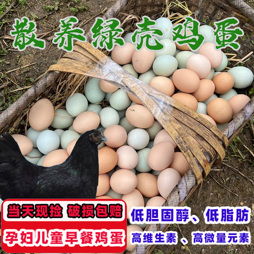 50枚绿壳乌鸡蛋农家散养当天现捡