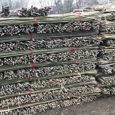 竹竿菜园搭架竹杆条3米豆角黄z瓜架子小竹子竹篱笆栅栏围栏架杆棍