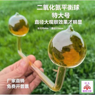 特大号二氧化氮平衡球 观察NO2不同温度下颜色变化 化学教学仪器