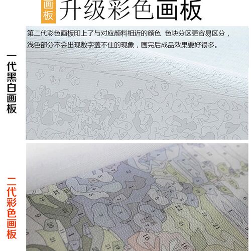 数字油画玫瑰卉油彩画di手绘填色画卧室客厅装饰朵盛放