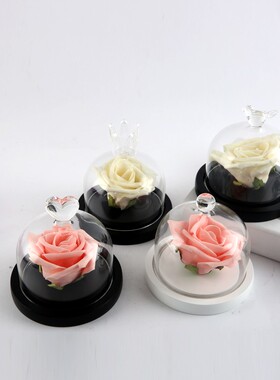 创意永生罩防尘罩罩子微景观爱心款装饰