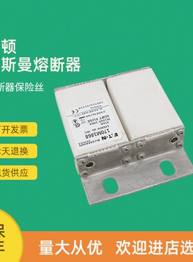 全新快速熔断器保险170M1844 170M1845 170M1846 170M1847