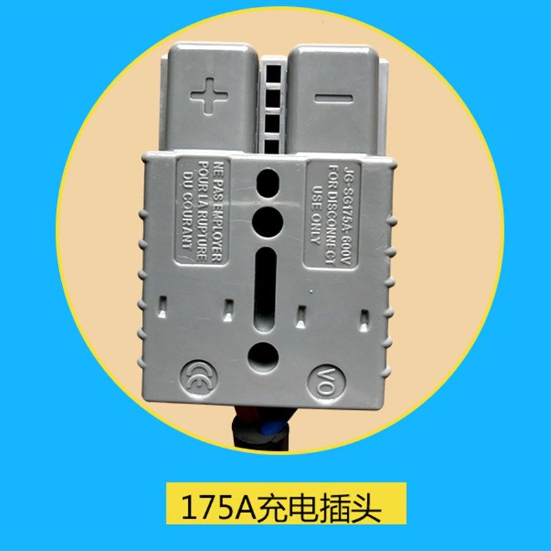 湘阳25A电动四轮机观光车代步车巡逻车磷酸铁锂电池双显示充电器