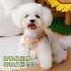 狗狗牵引绳背心式 篮球足球风中小型犬遛狗绳猫绳子宠物外出胸背带