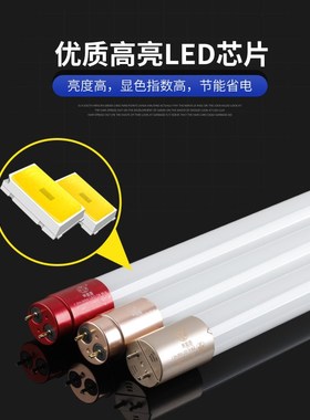 单端LED灯管特色用途宽压85-110-265V灯管彩色红色绿色荧光低压灯